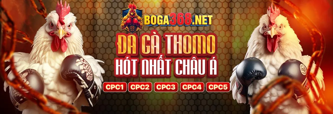 Đá gà trực tuyến kịch tính tại 69vm