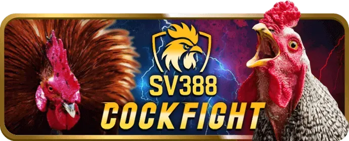 Hướng dẫn và mẹo chơi 69vm